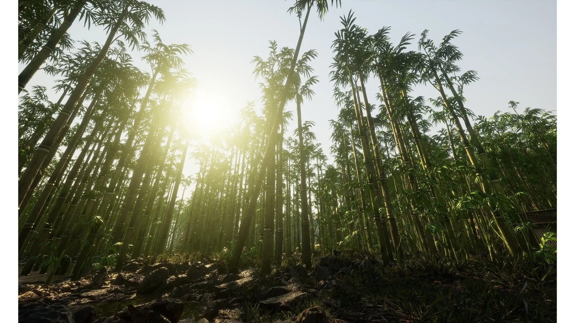 Bamboo Forest Environment - 1
