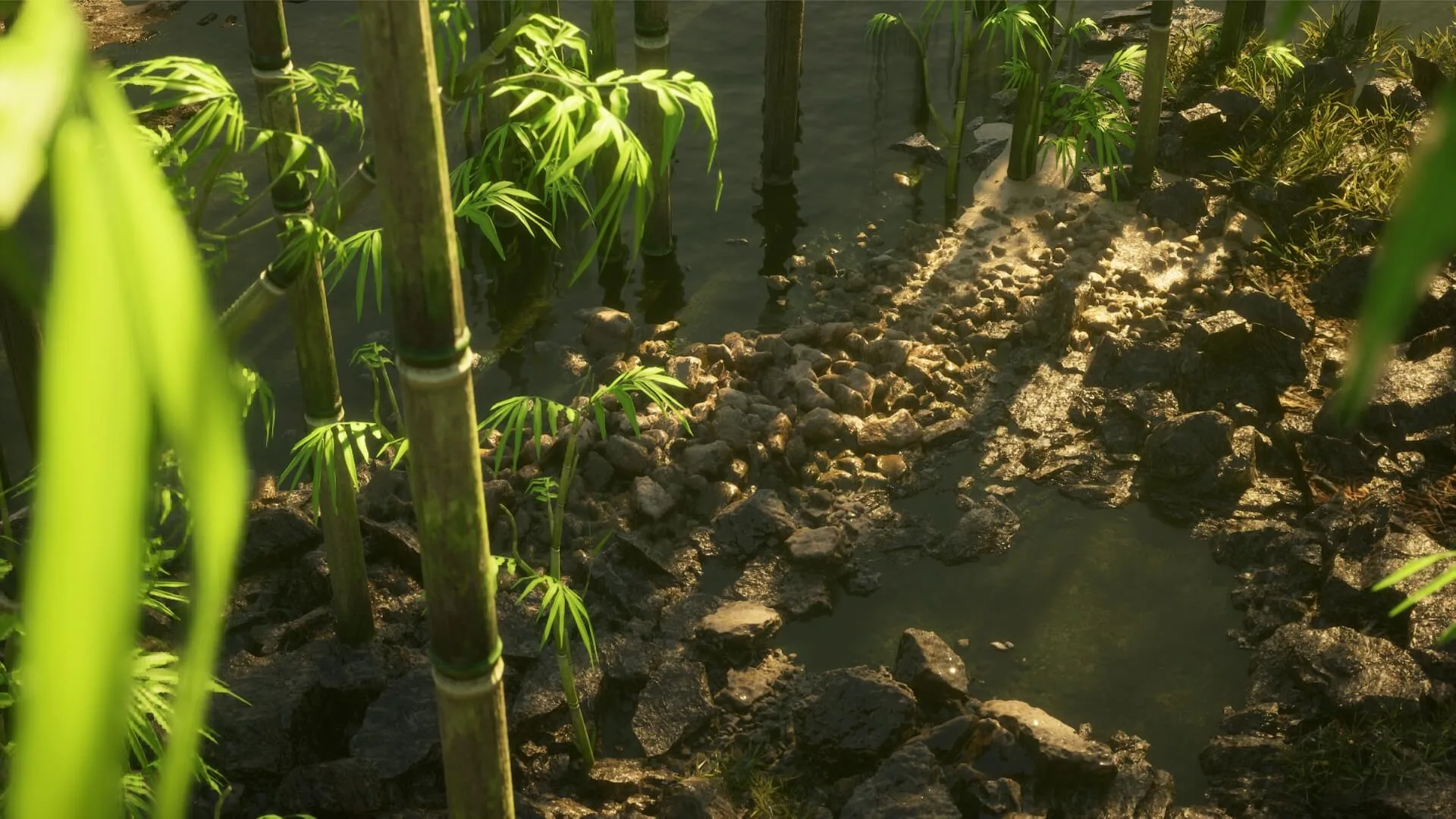 Bamboo Forest Environment - 12