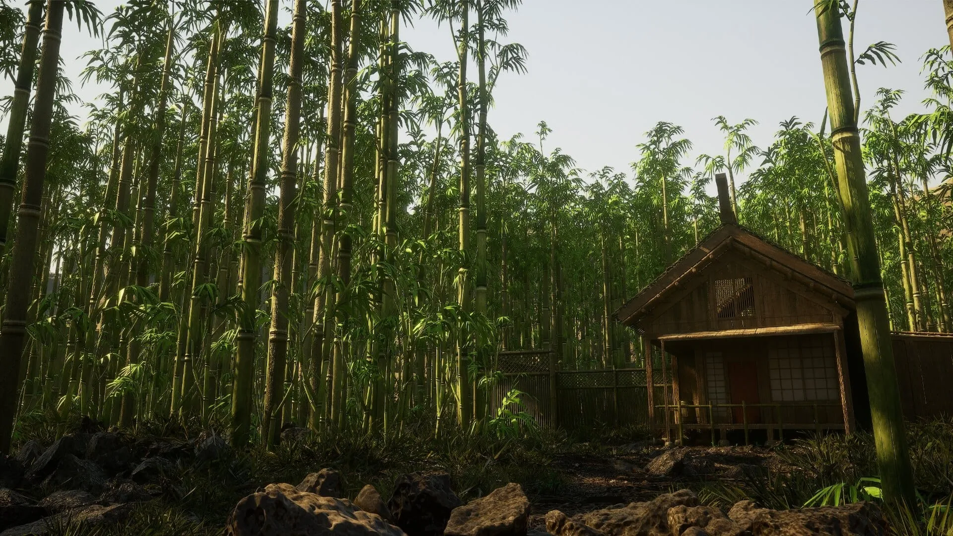 Bamboo Forest Environment - 14