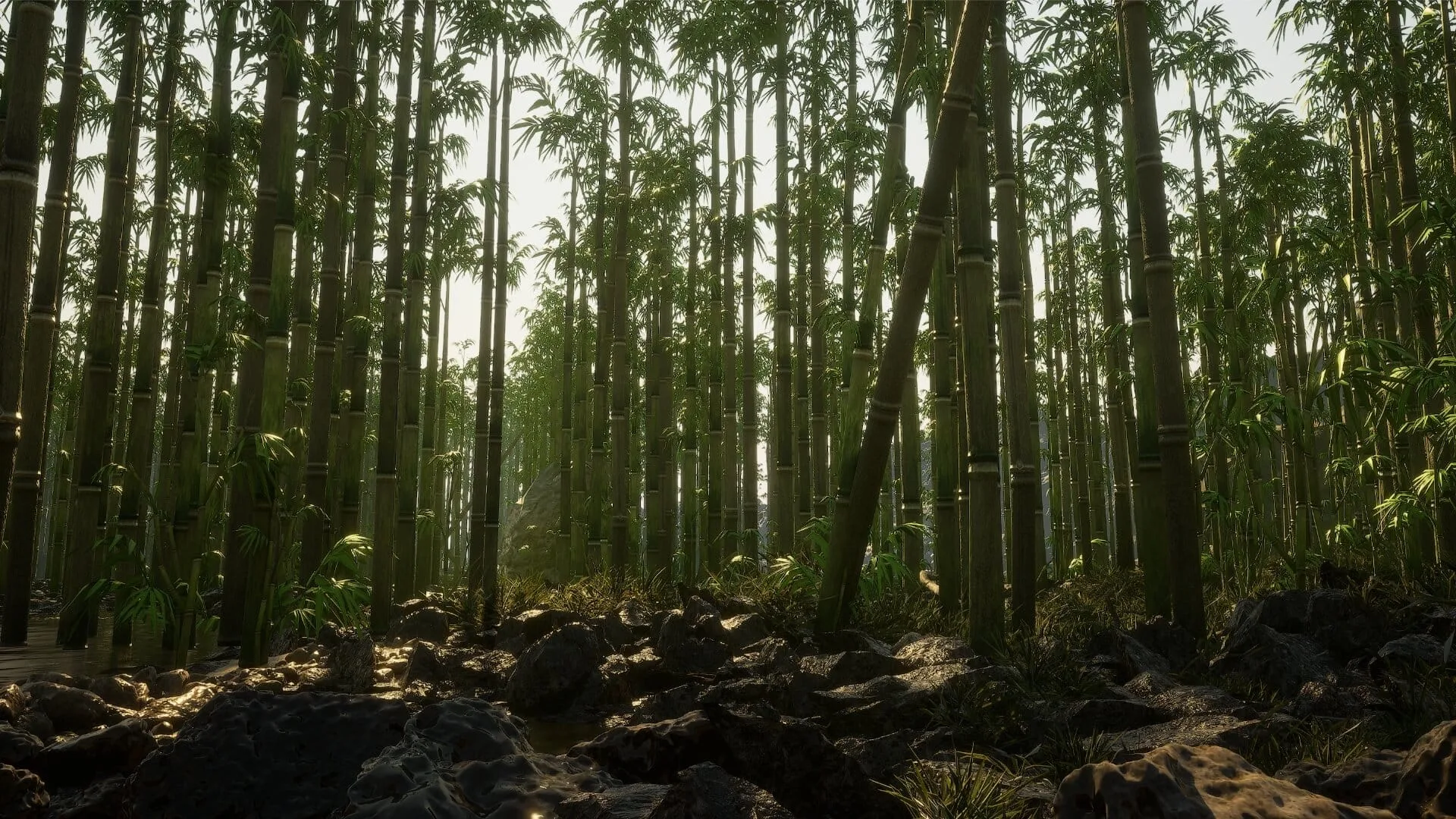 Bamboo Forest Environment - 15