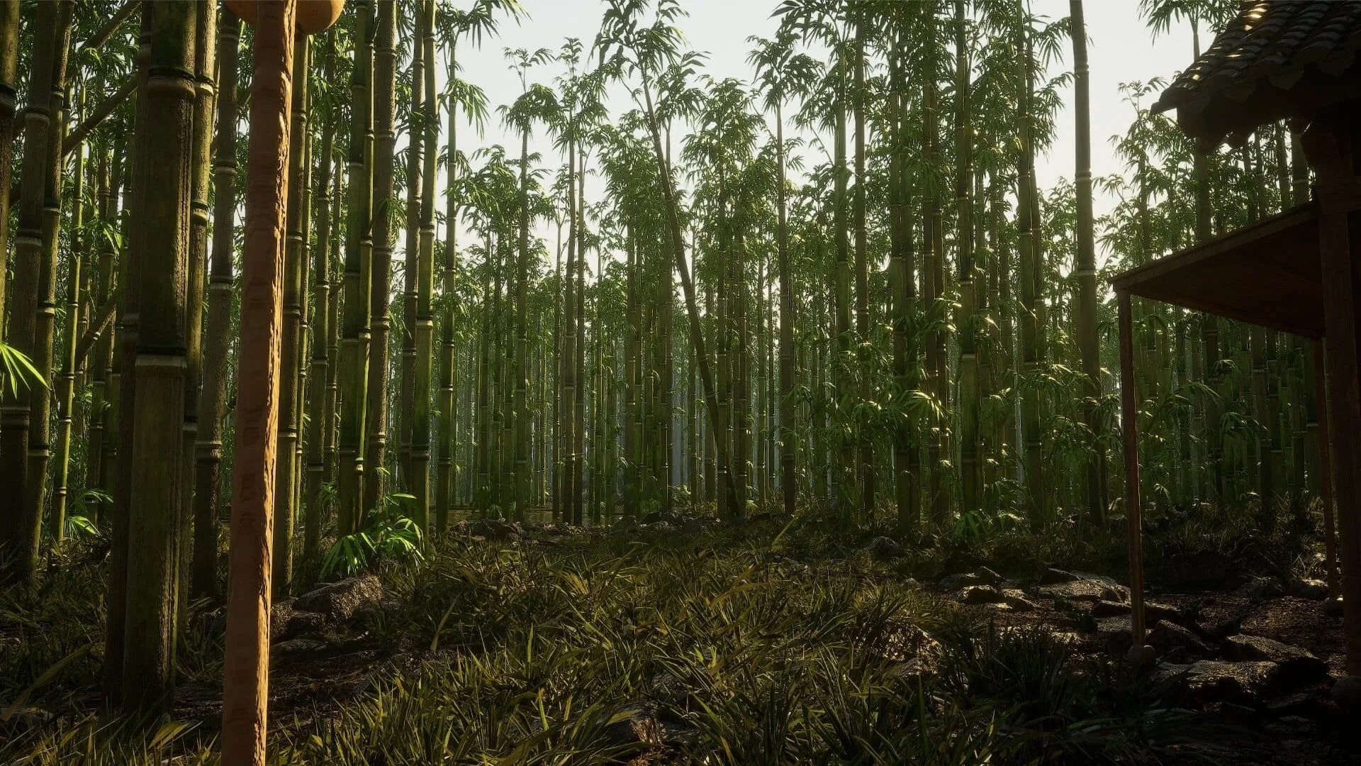 Bamboo Forest Environment - 16