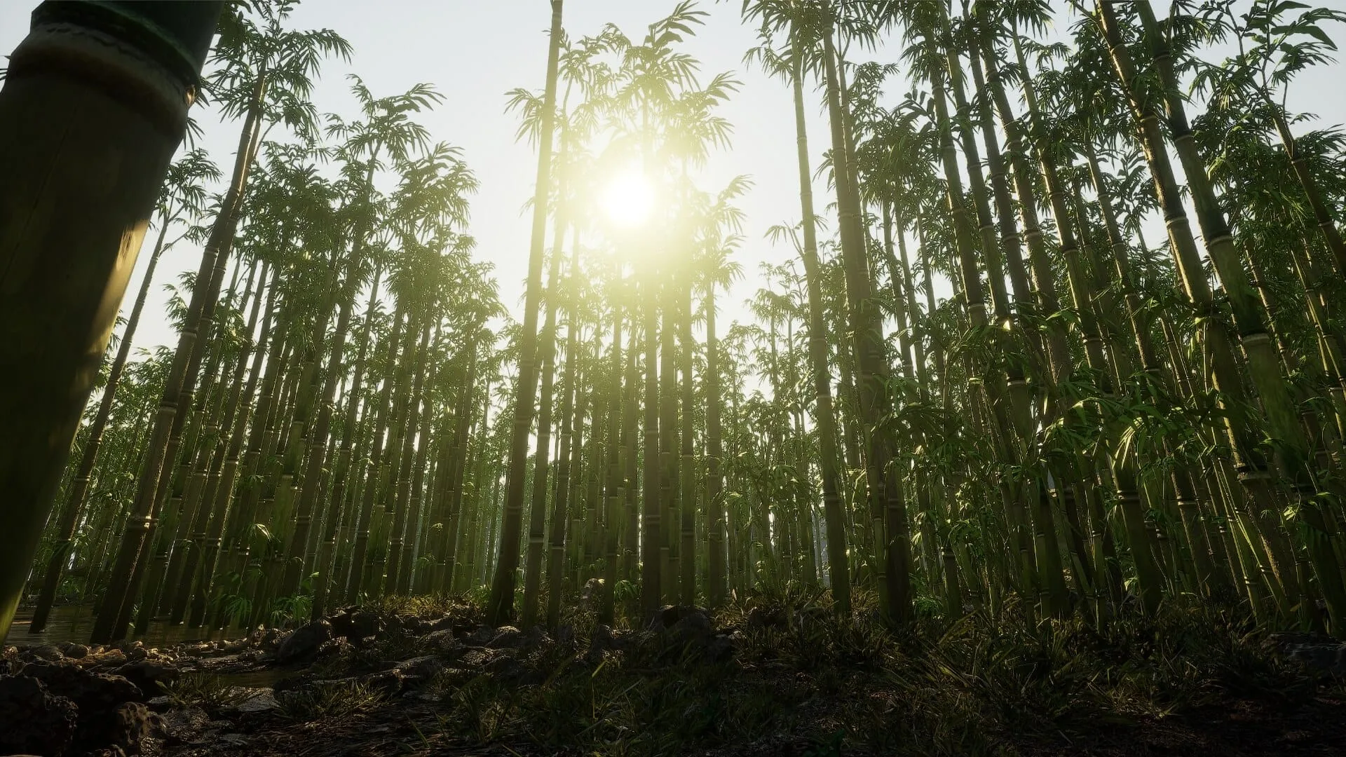Bamboo Forest Environment - 17