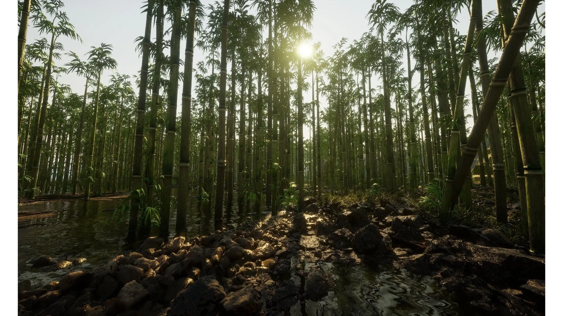 Bamboo Forest Environment - 2