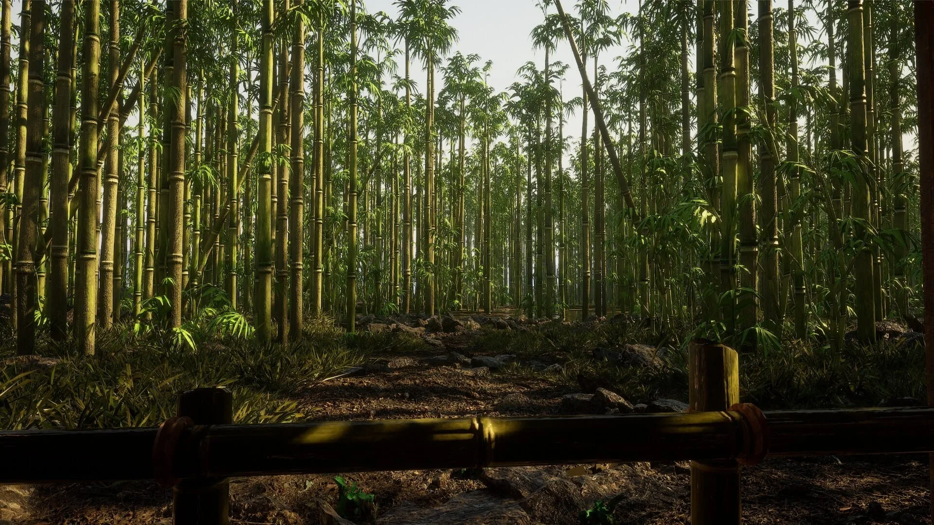Bamboo Forest Environment - 20