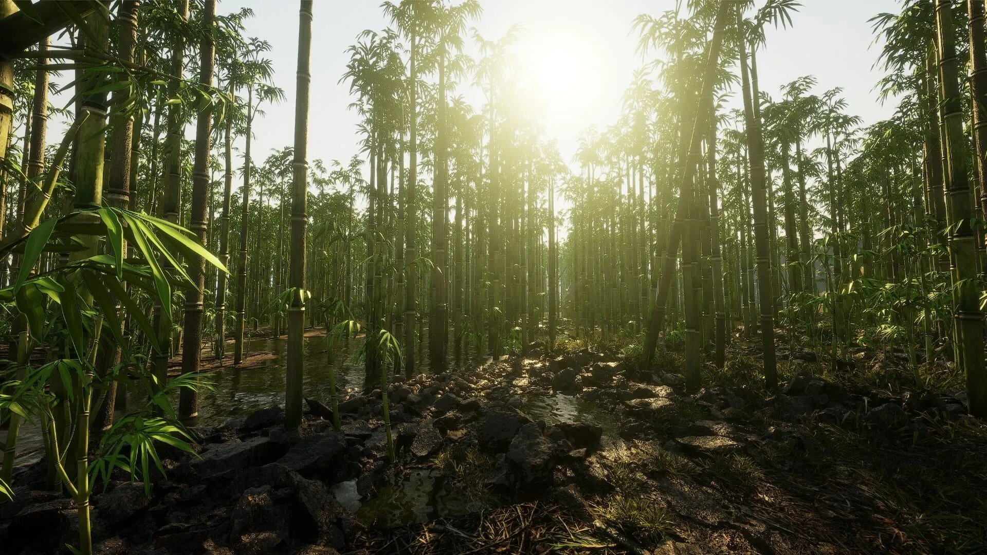 Bamboo Forest Environment - 22