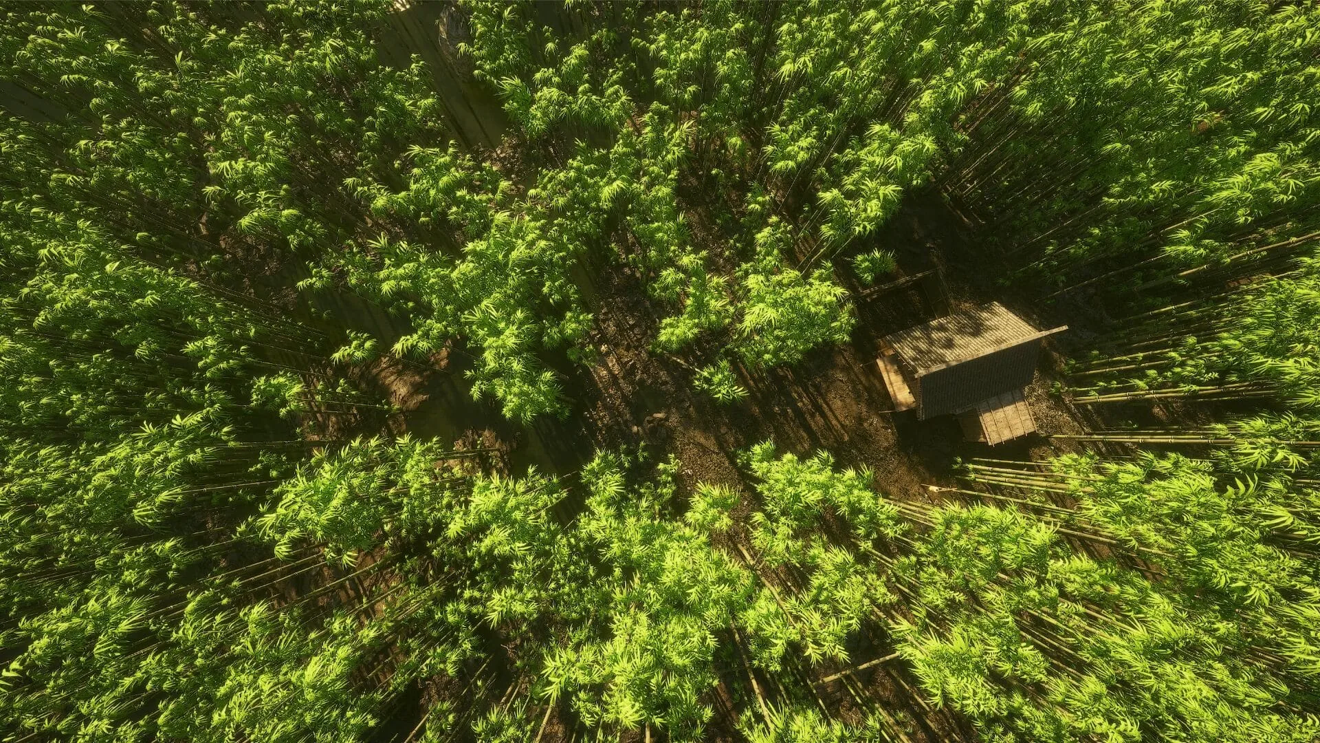 Bamboo Forest Environment - 23