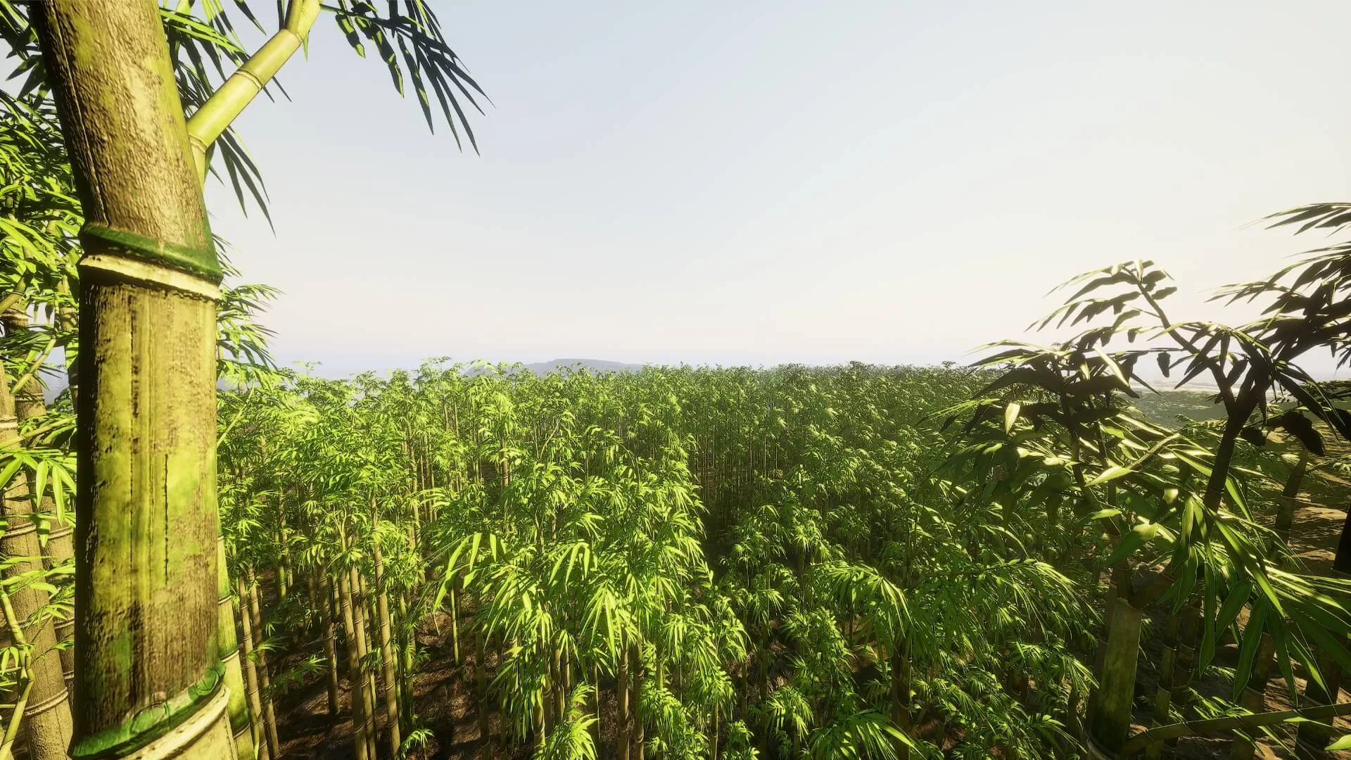 Bamboo Forest Environment - 24