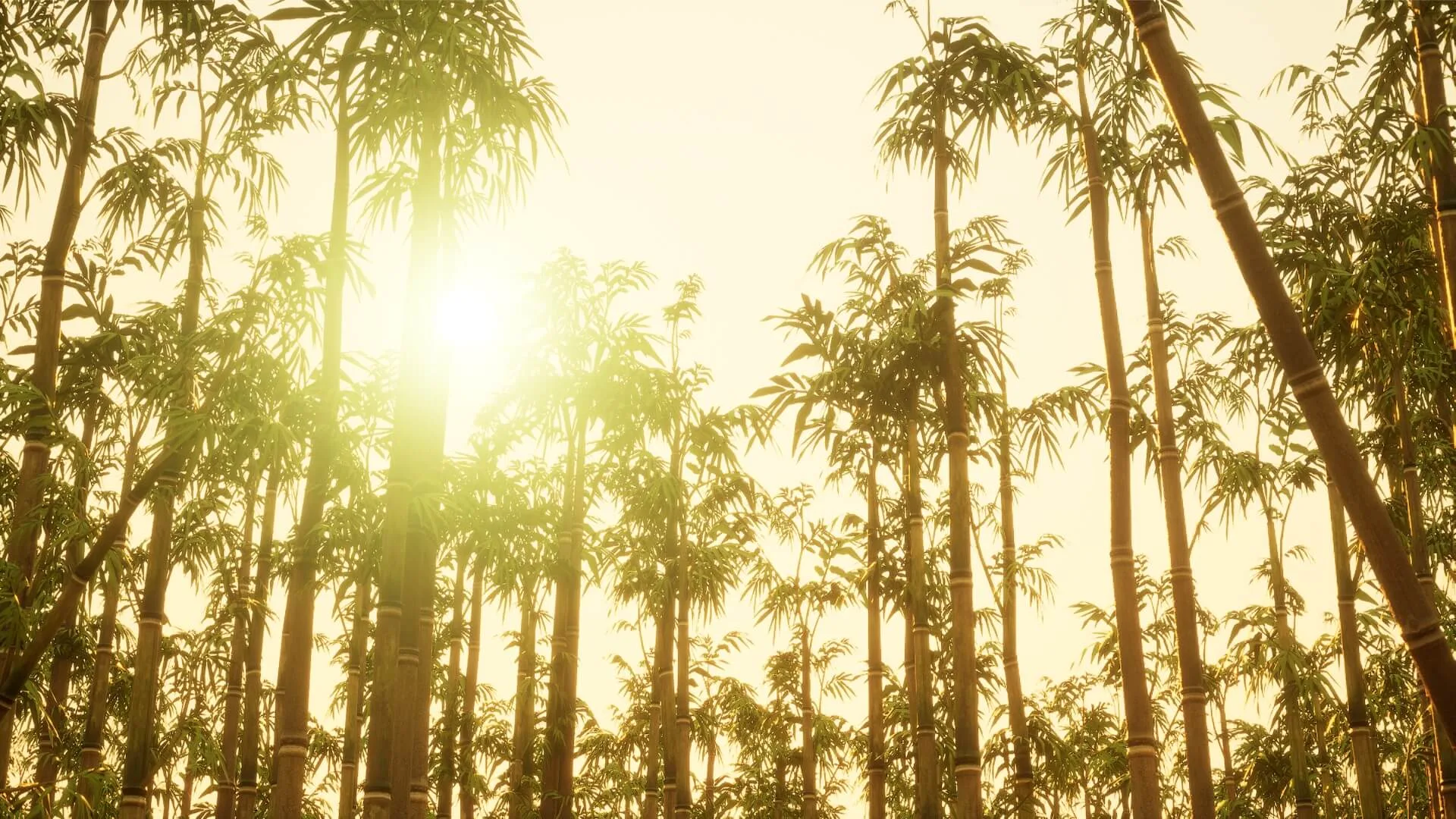 Bamboo Forest Environment - 5