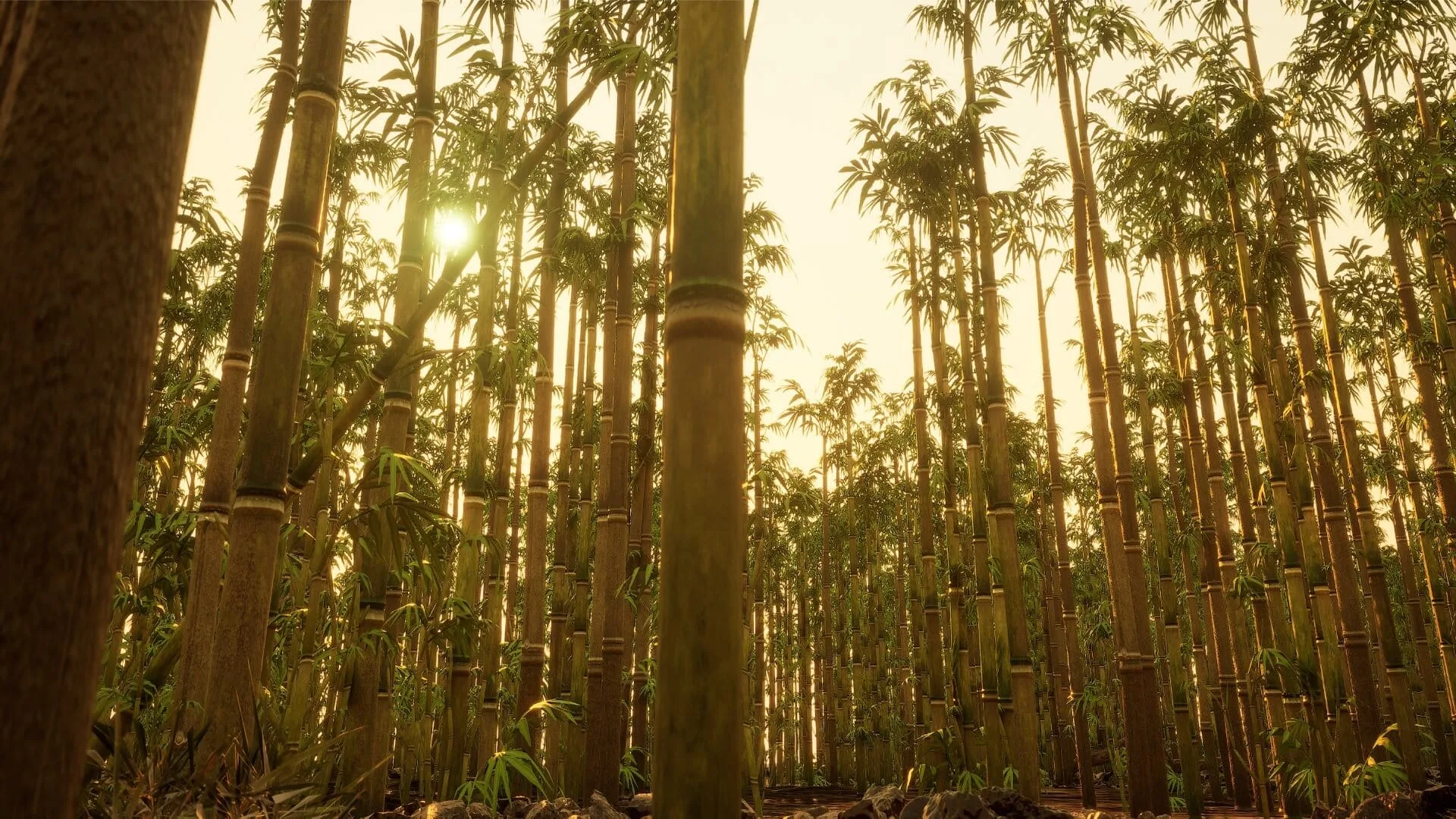 Bamboo Forest Environment - 7