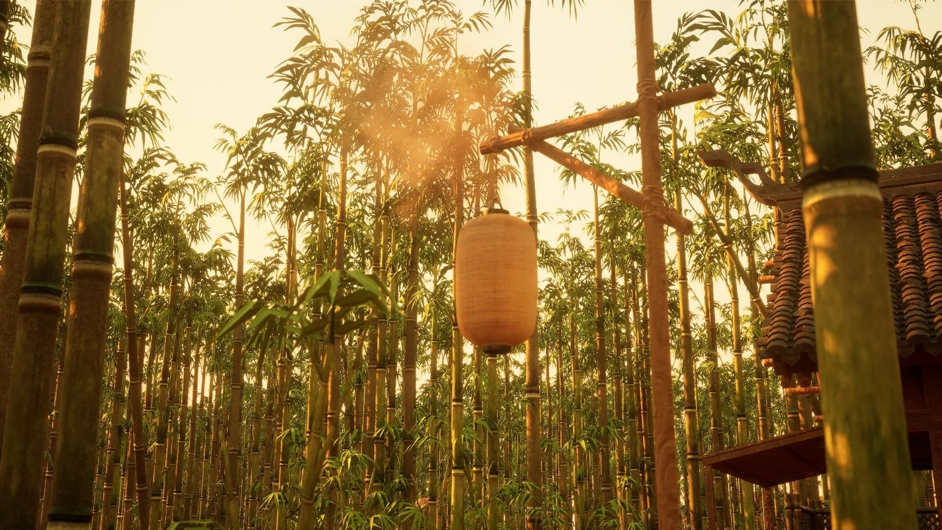 Bamboo Forest Environment - 9