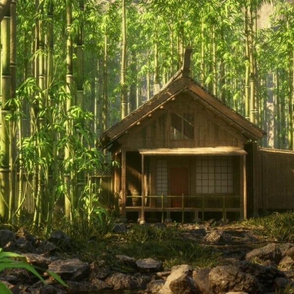 Bamboo Forest Environment